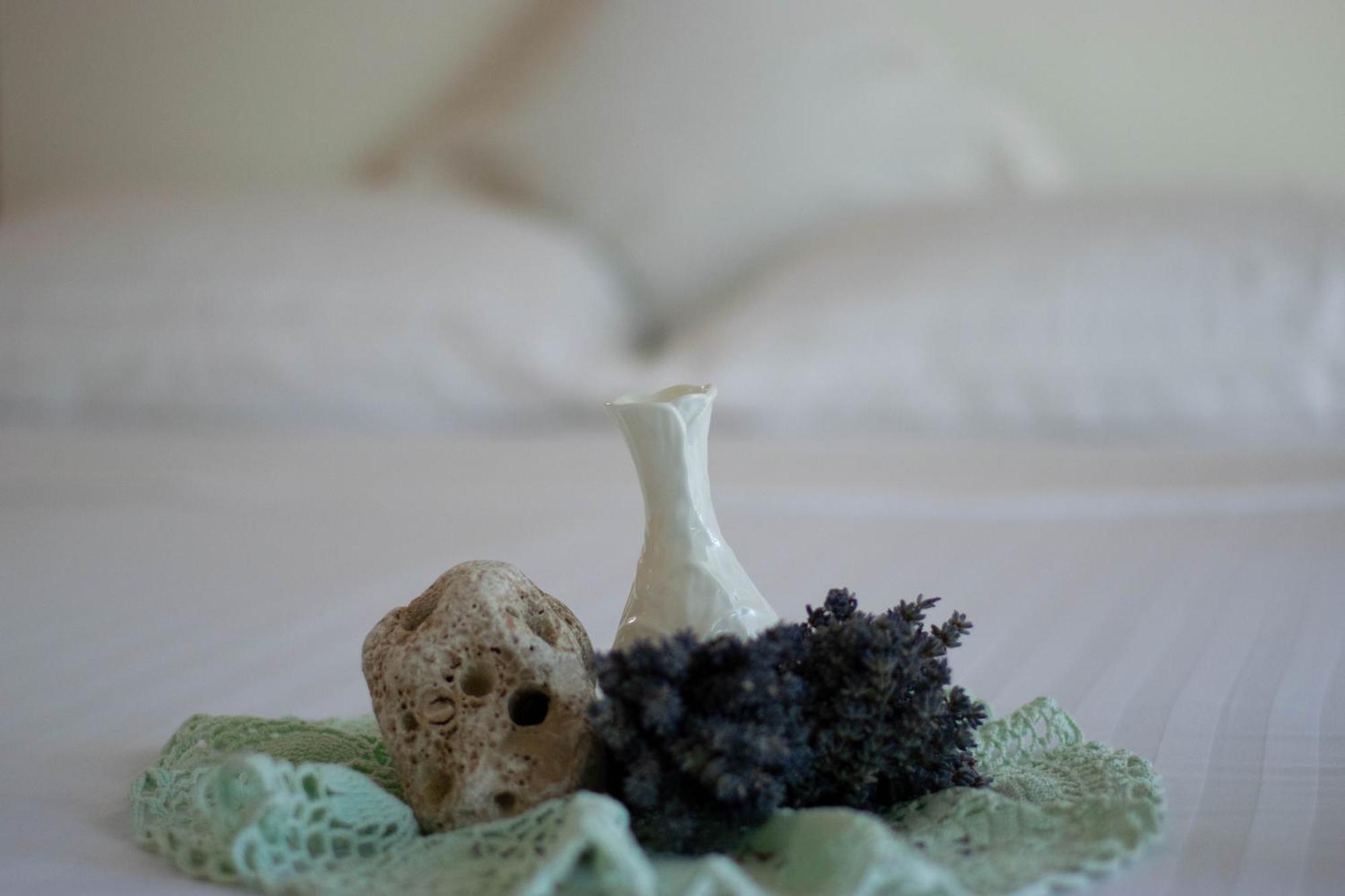 Apartments Anita Frane ヴォディツェ エクステリア 写真