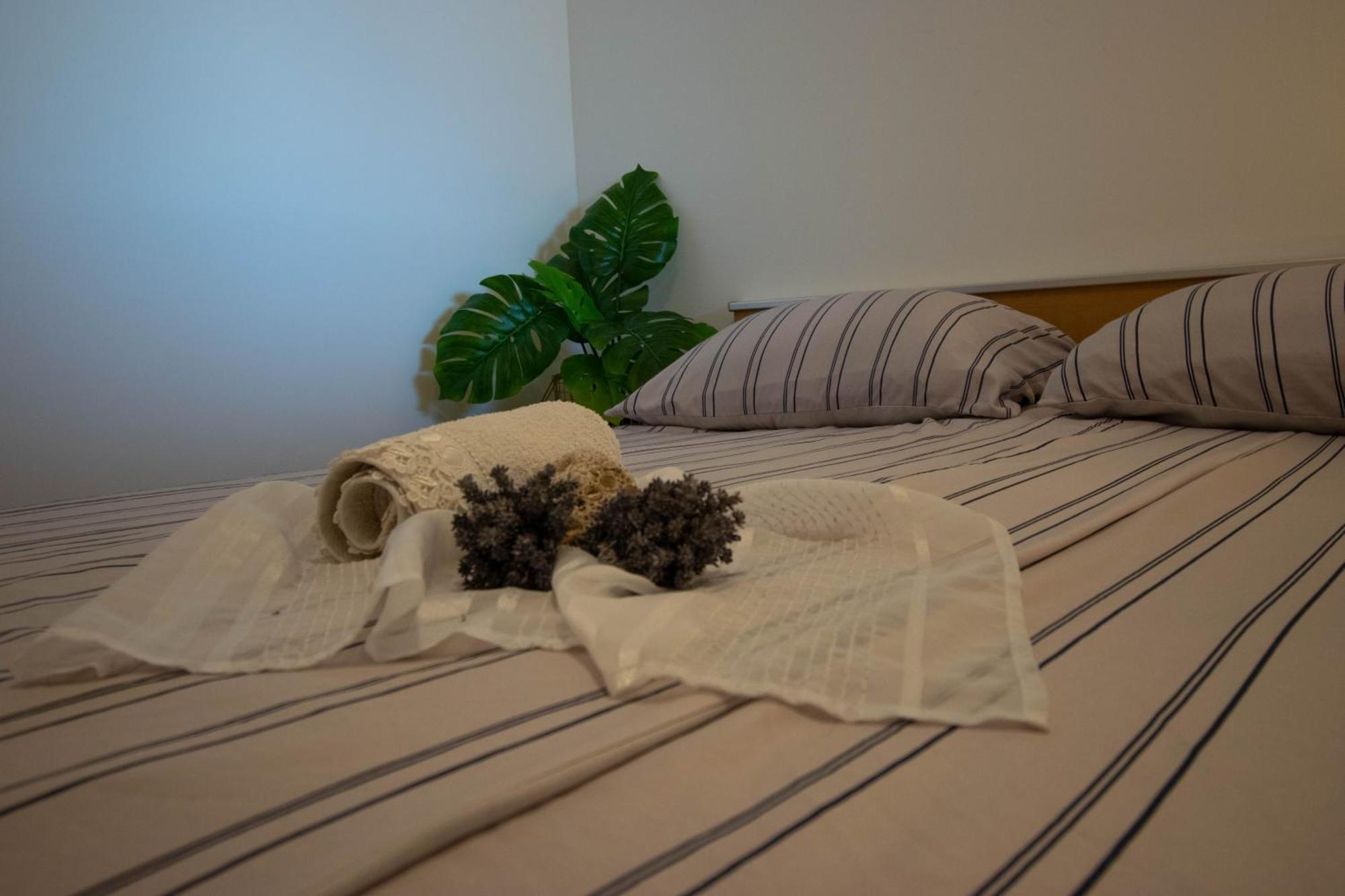 Apartments Anita Frane ヴォディツェ エクステリア 写真
