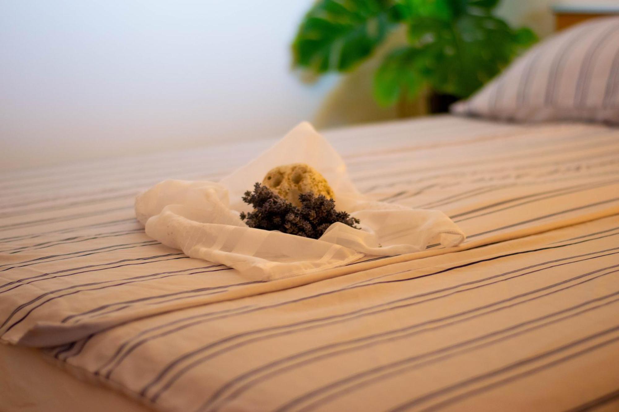 Apartments Anita Frane ヴォディツェ エクステリア 写真
