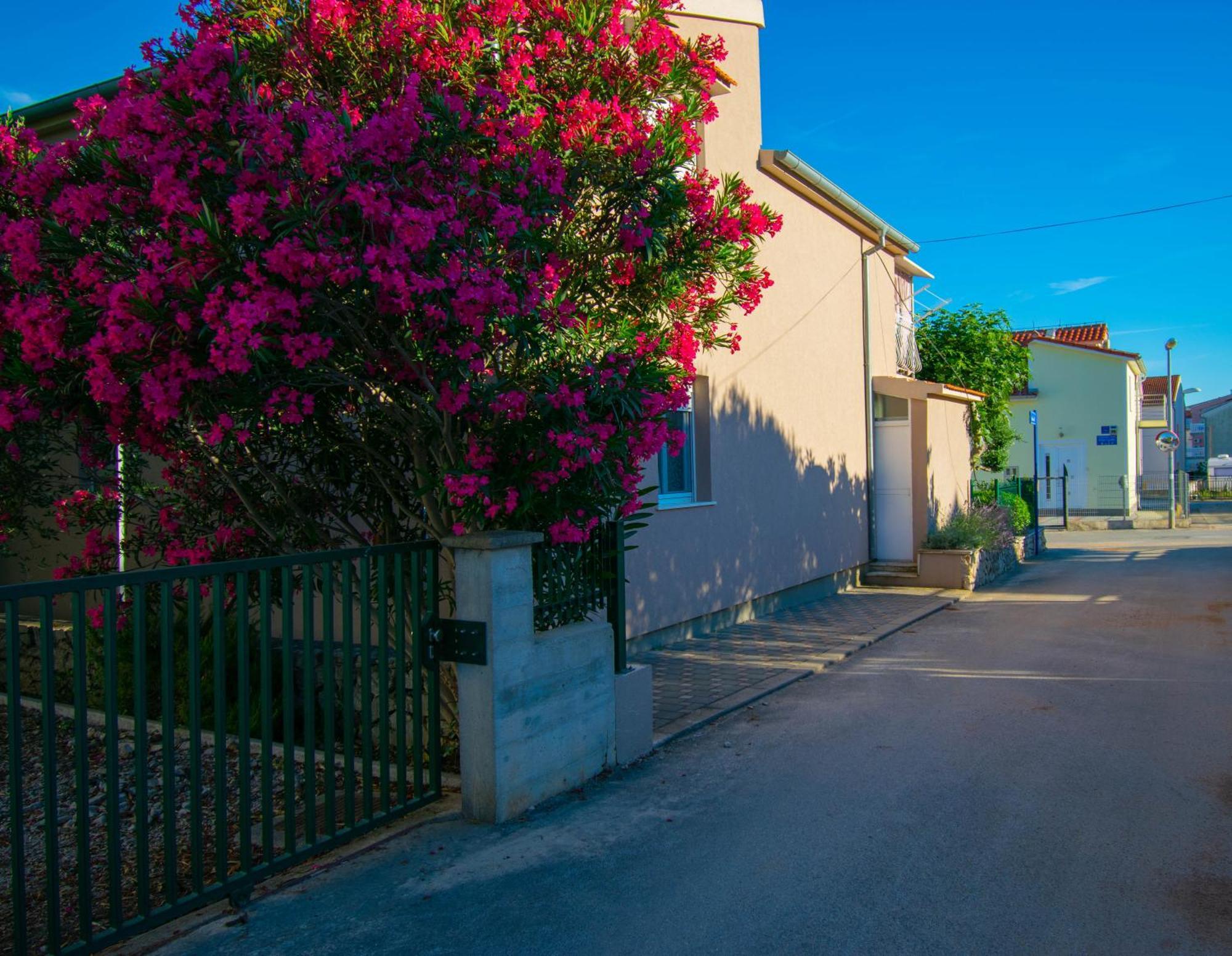 Apartments Anita Frane ヴォディツェ エクステリア 写真